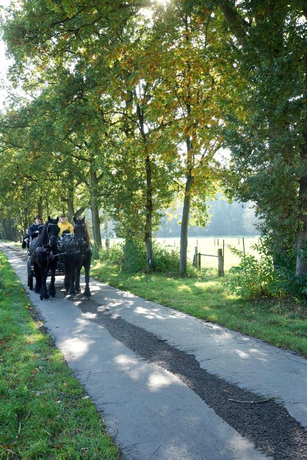 De Swaenhoeve Zoersel Exterior foto